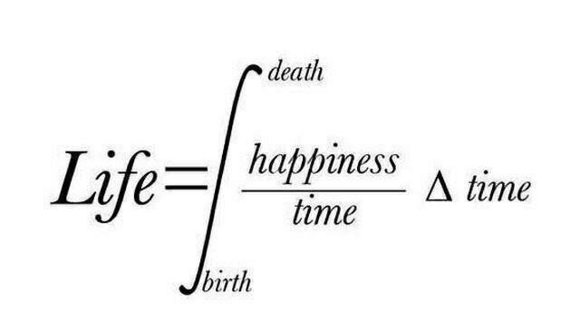 5 metaphors from physics and calculus on happiness