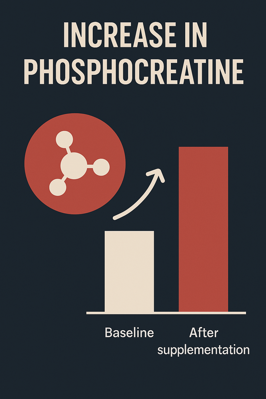 creatine increases phosophocreatine stores