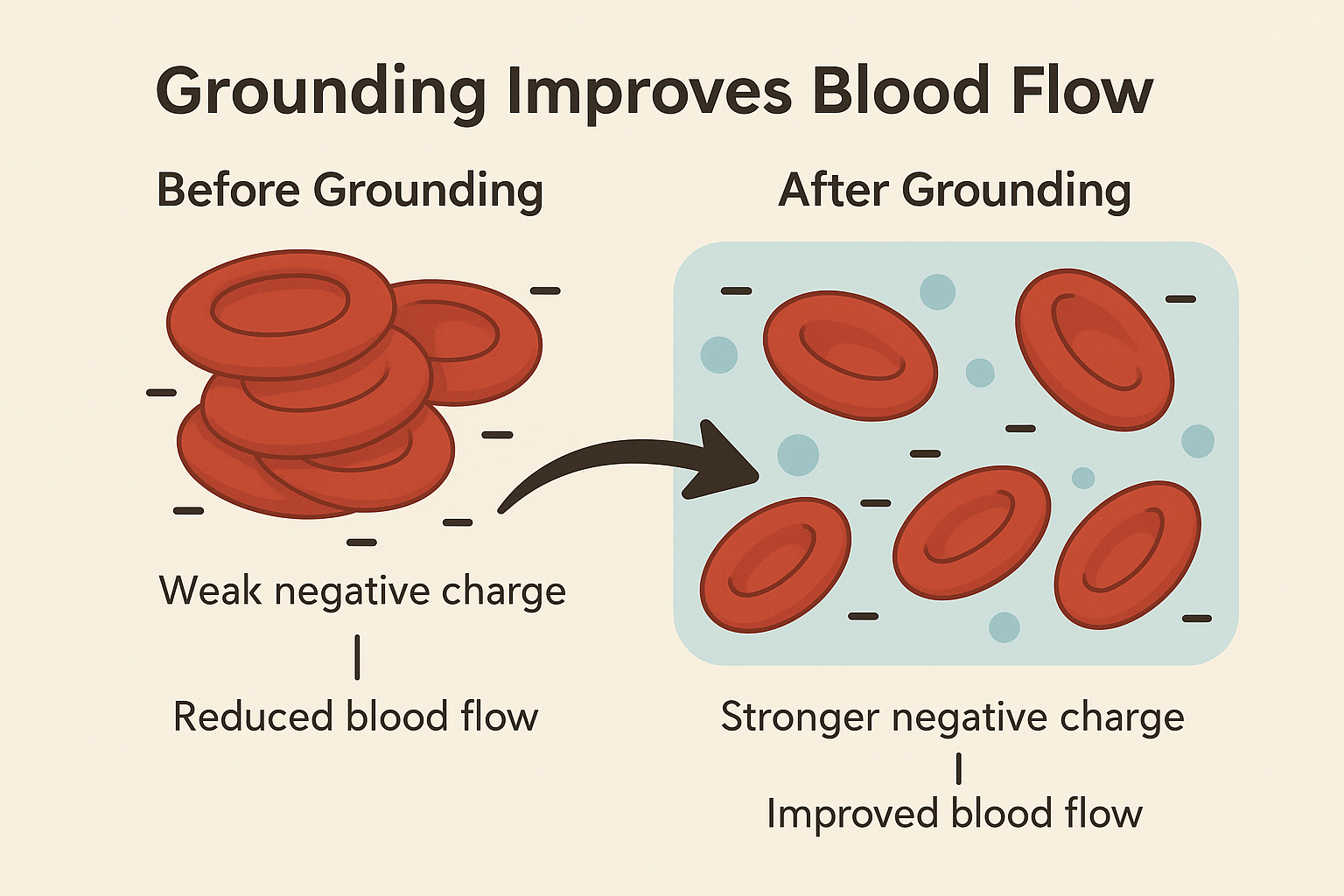 Grounding improvesd circulation