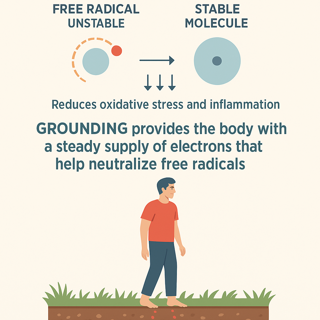 Grounding reduces free radicals