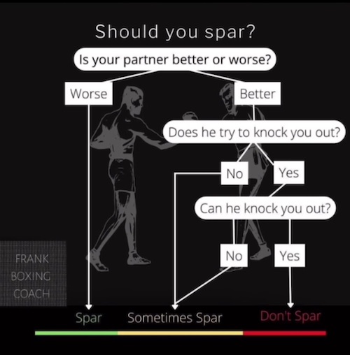 When you should spar?