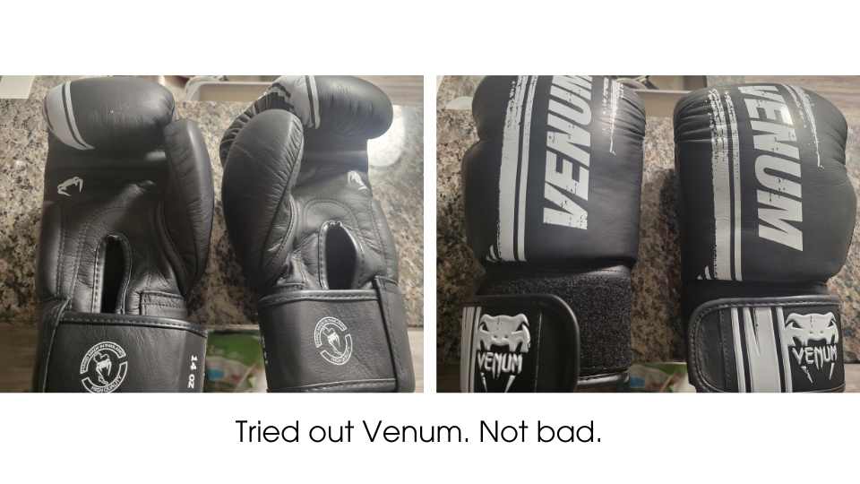 Venum Boxing Gloves