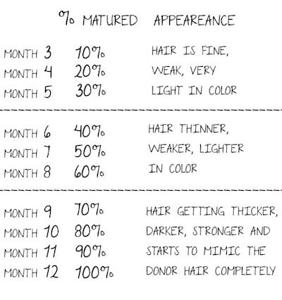 Hair transplant regrowth timeline