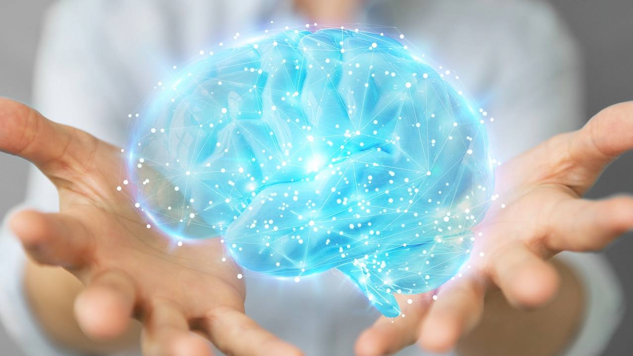 The Neuroscience of Risk— Why Humans Are Drawn to High-Stakes Decisions