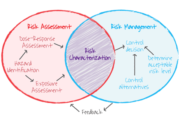 Risk assessment versus risk management